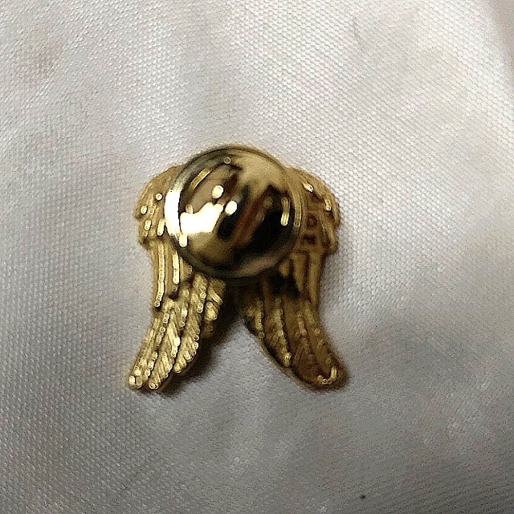 Angel Wings Pin - Picture 2 of 4